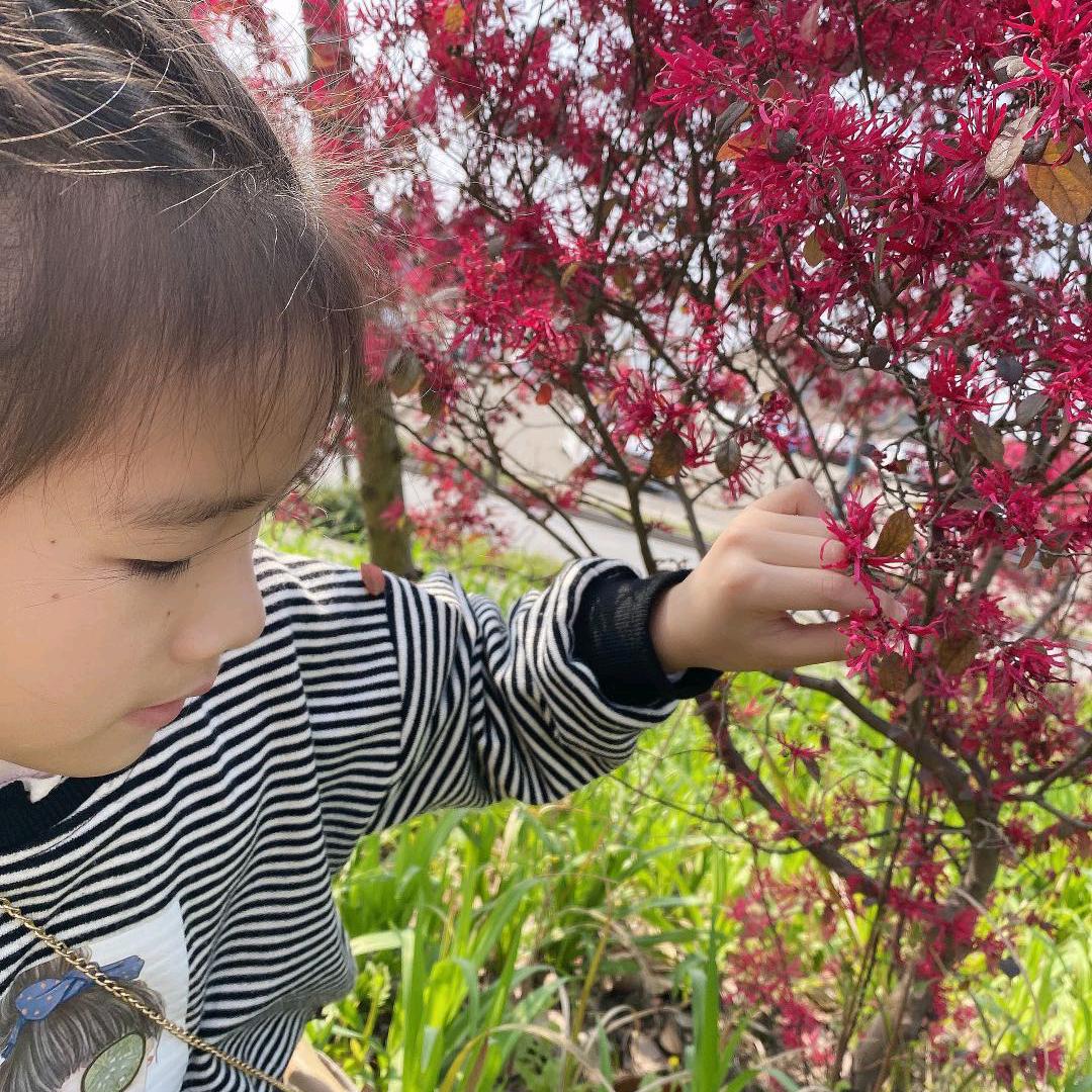 🦋এ᭄赚钱养婕砚💪