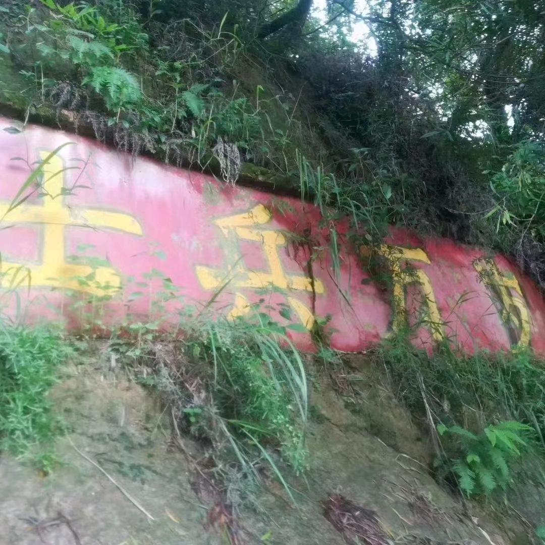 战士“连”盟