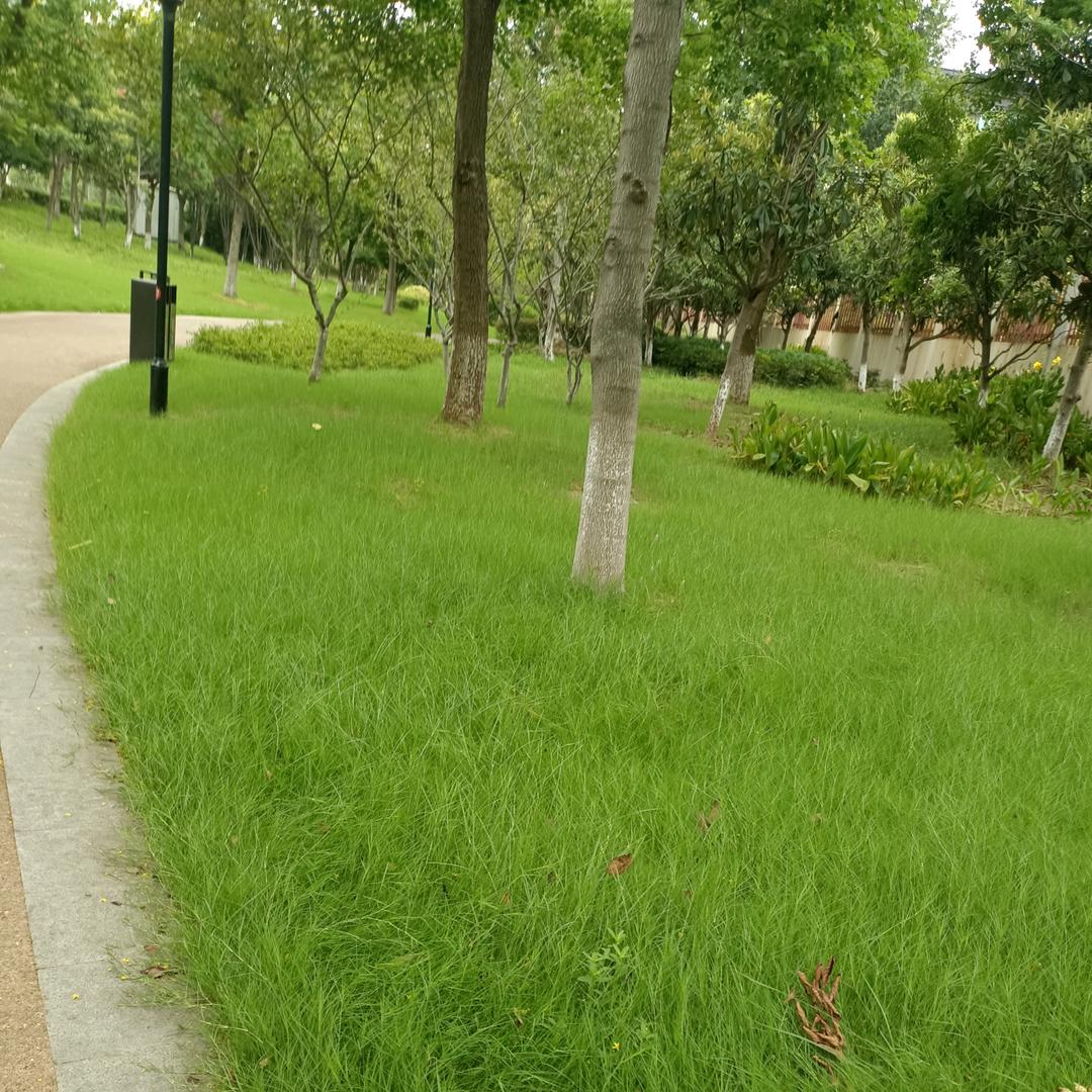 💞糊涂涂🍒ღ࿐᭄᭄