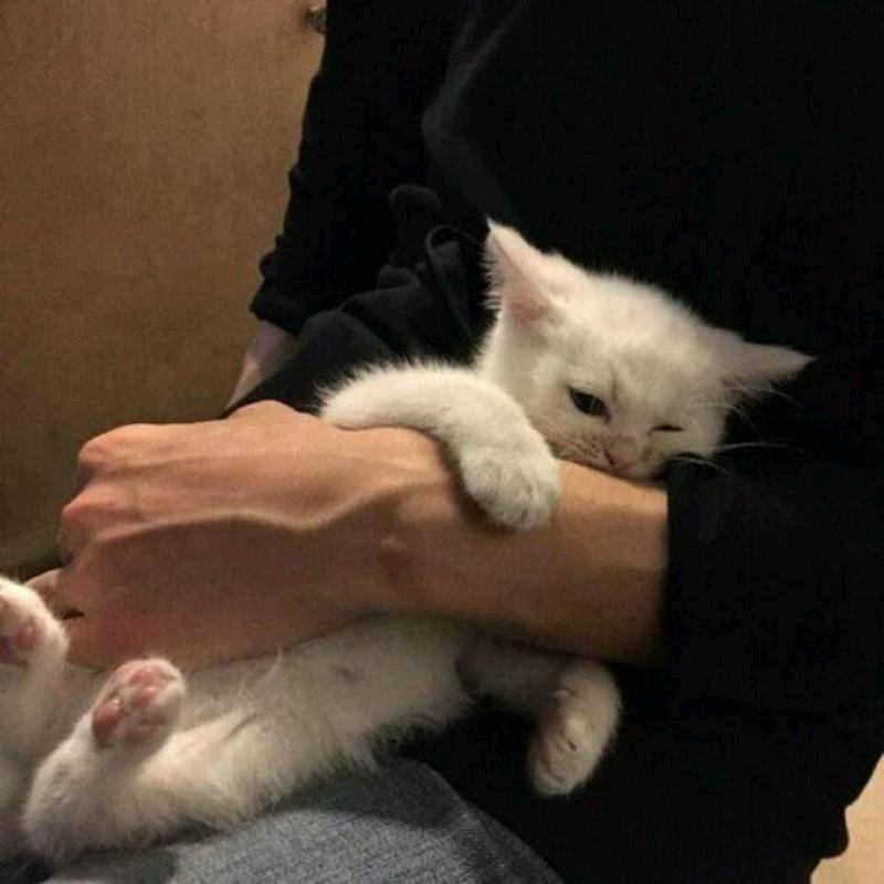丶