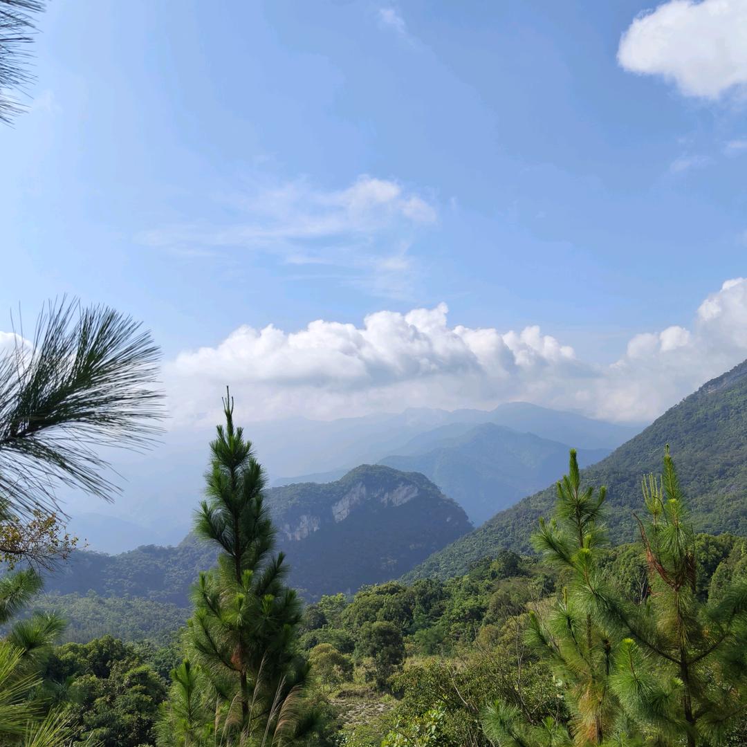 ღ温酒醉人 ོ࿐