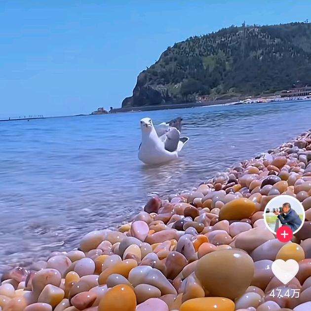 唯有自渡