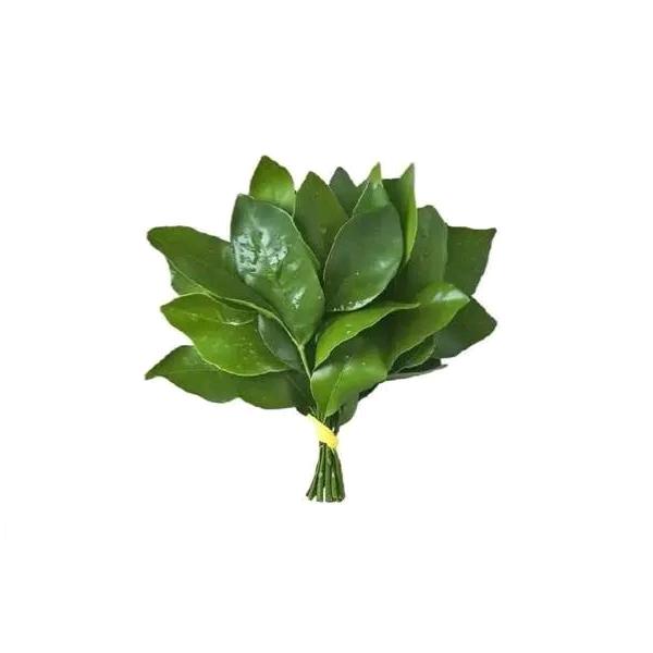 政南头像
