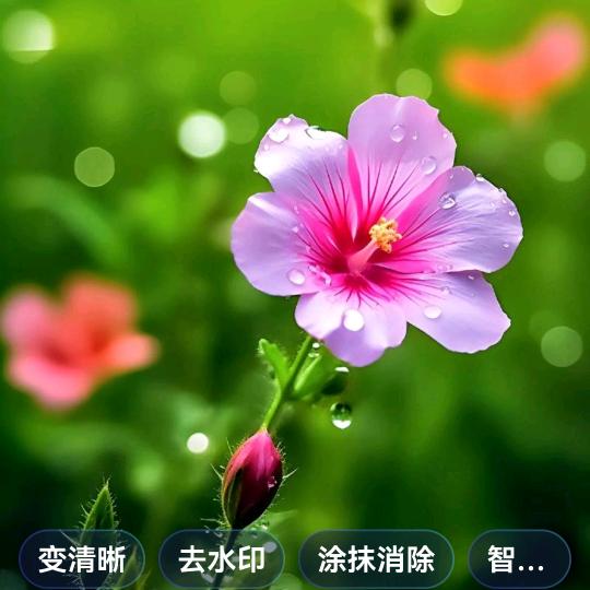 爱你不后悔！