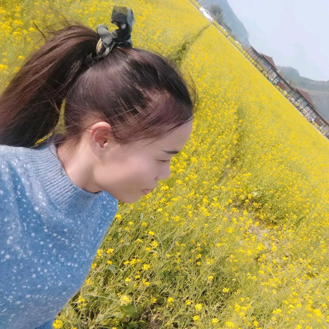误入歌途