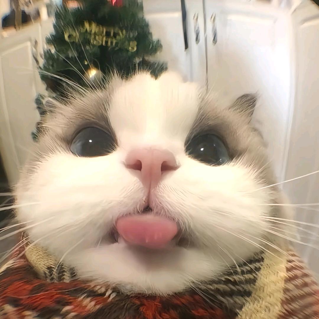 惜