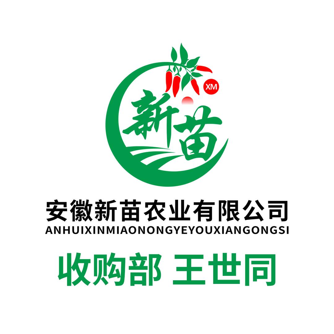 王世同（优新苗）