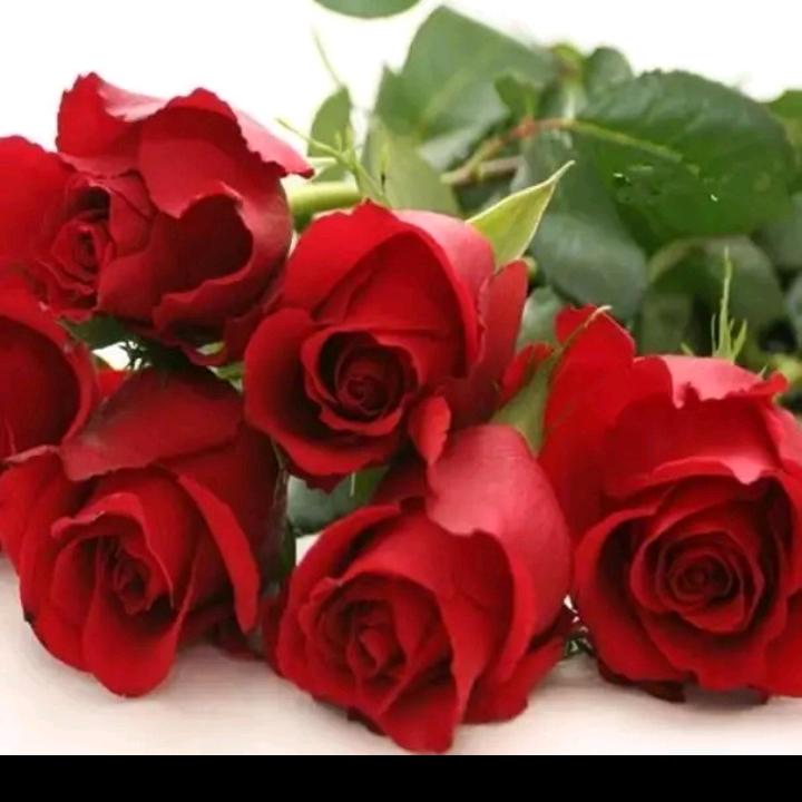 芳（19：40开播）