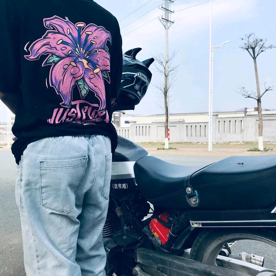 陈晓猪o