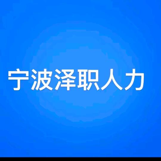 宁波泽职人力