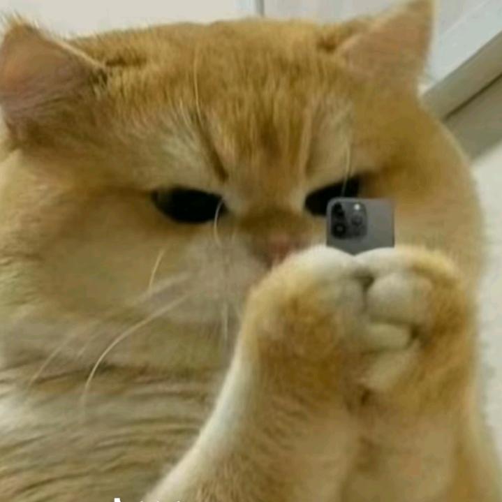 @胖头鱼