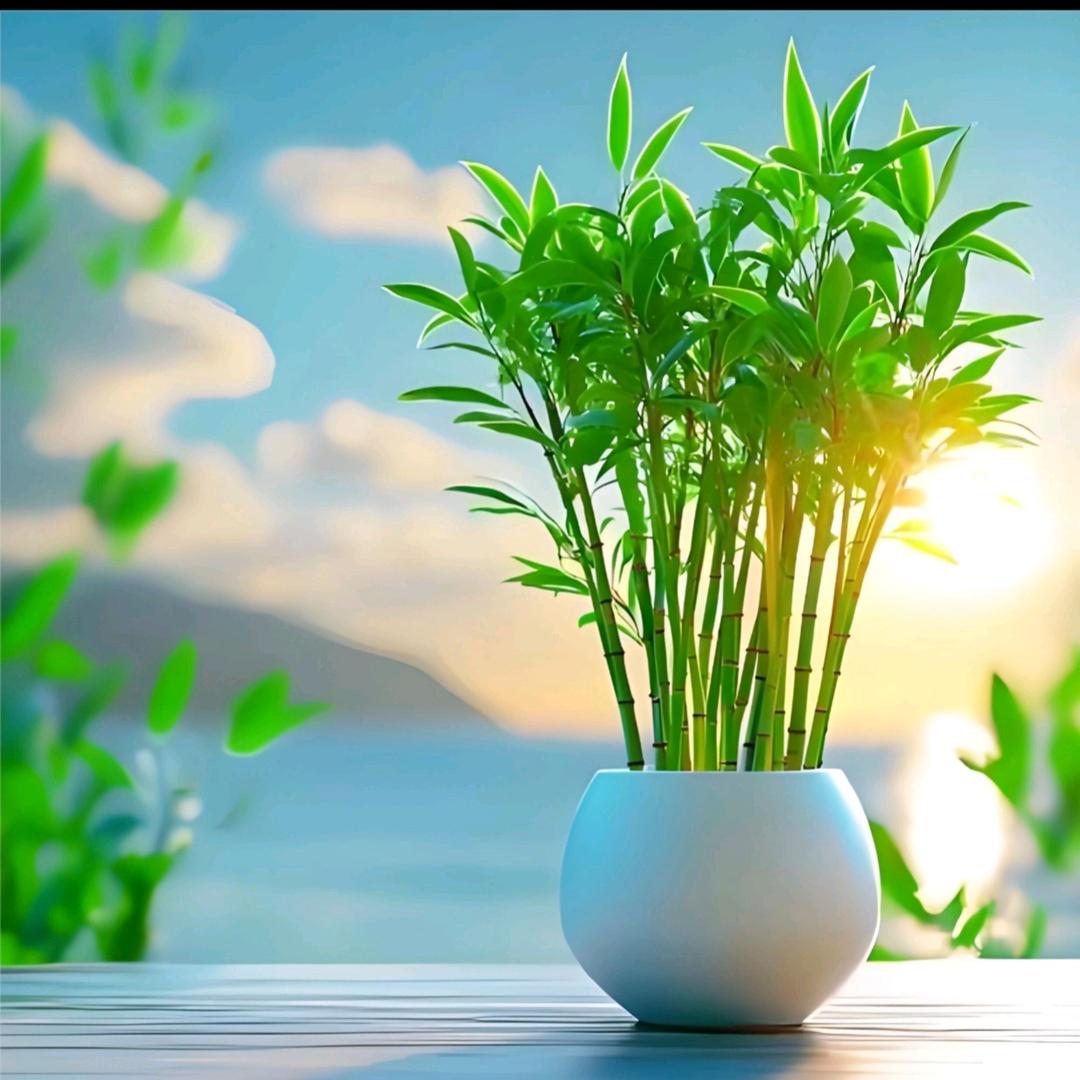 余生的财华