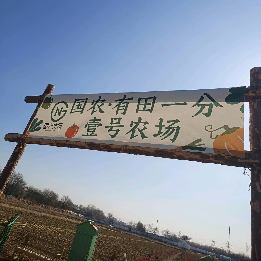 国农壹号农场小林