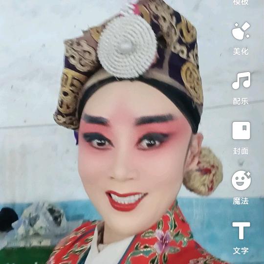 红凤戏梅