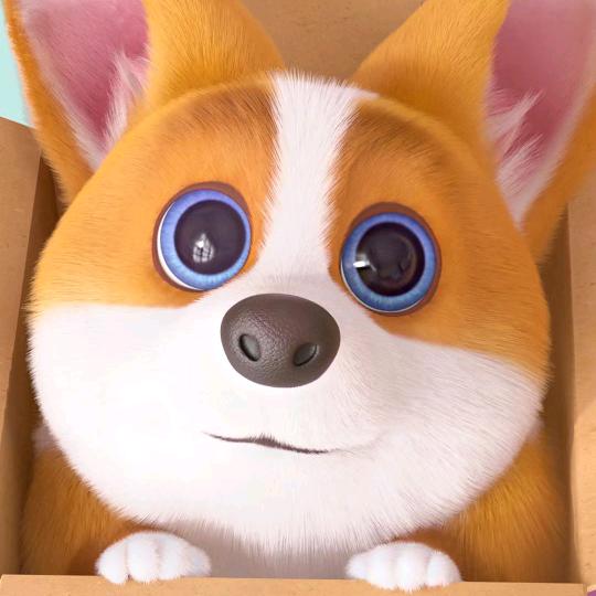 满圈的鸭子我嘴最硬