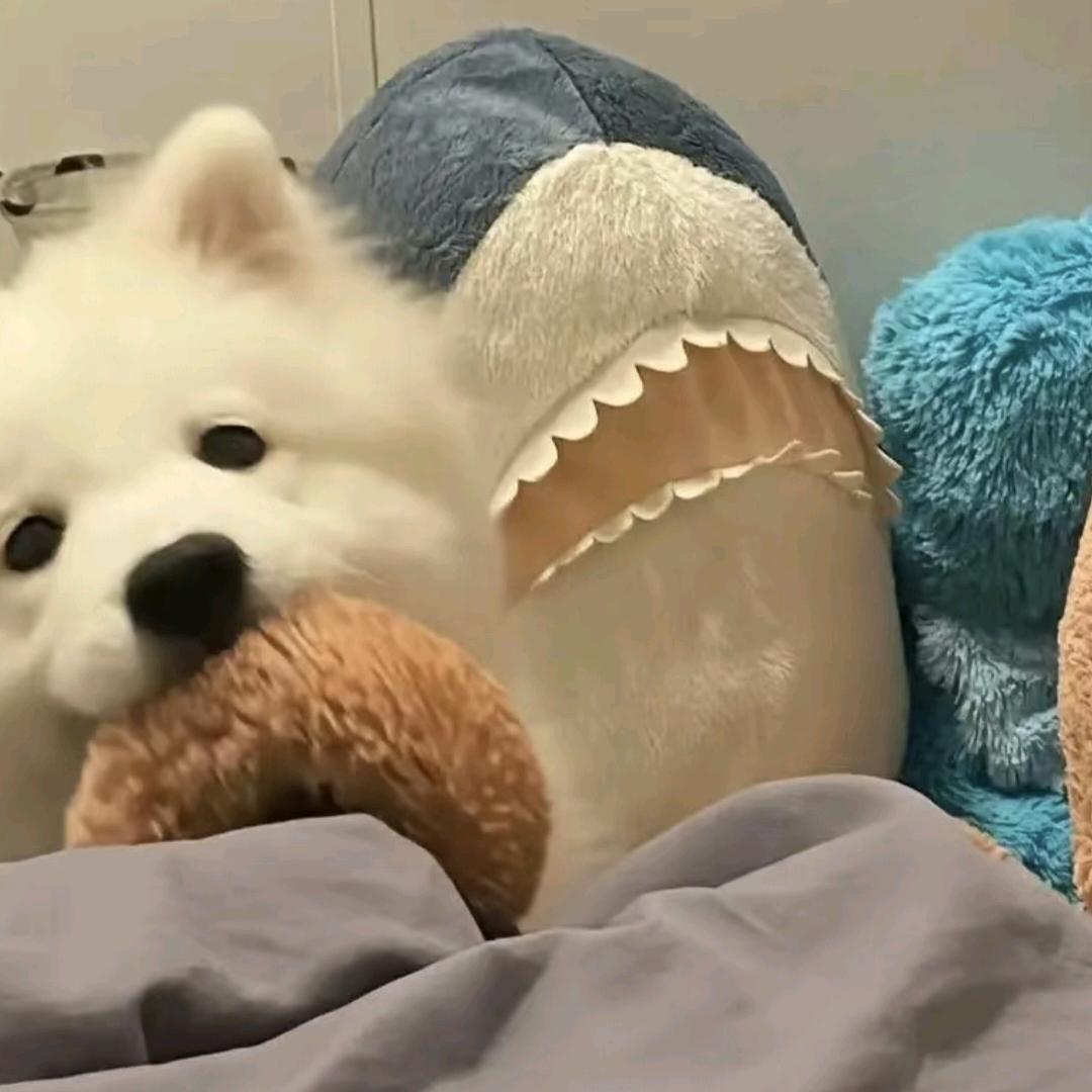 一七