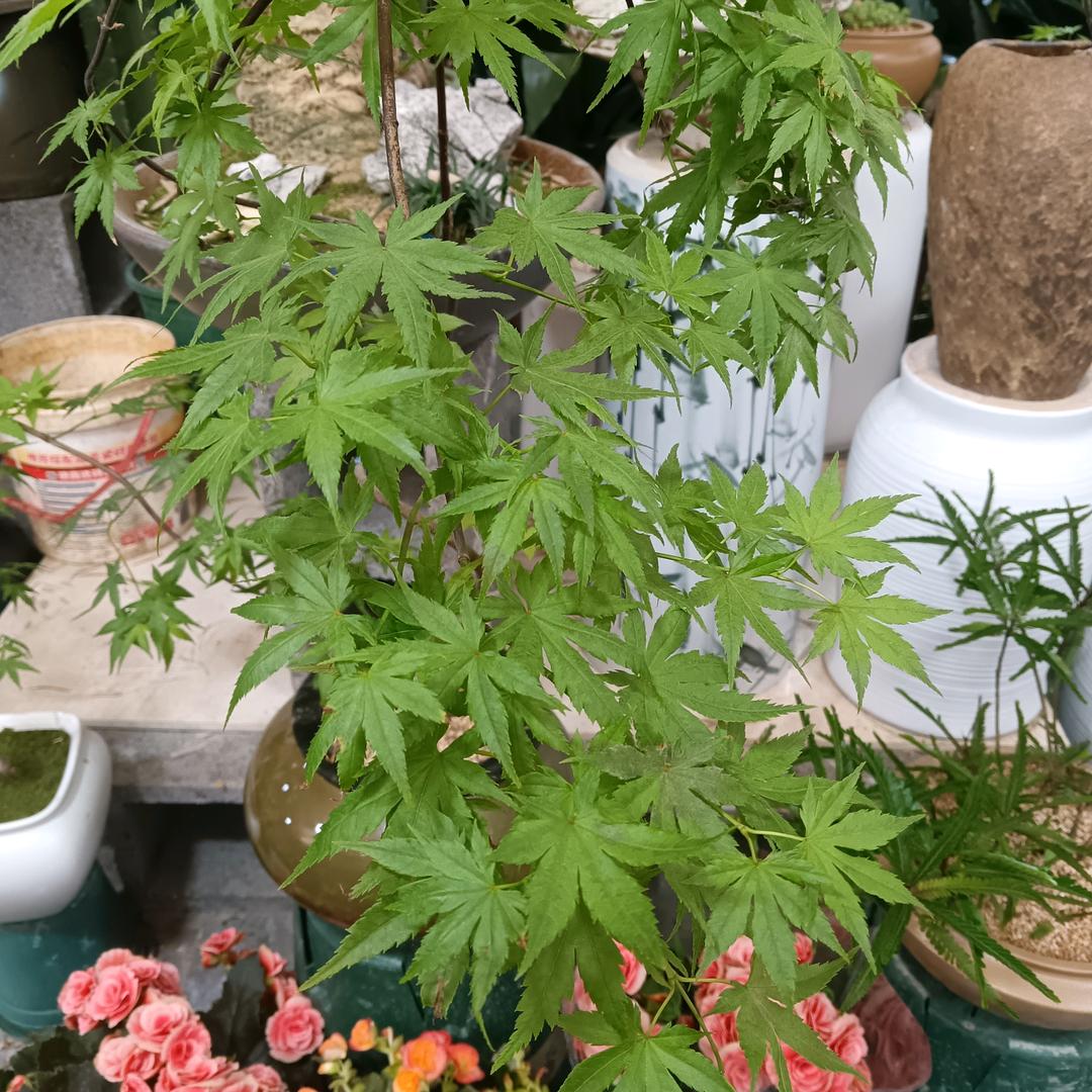 无尽的追寻