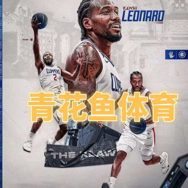 篮球青花鱼体育