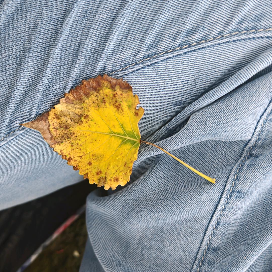 狂拽酷炫力霸天