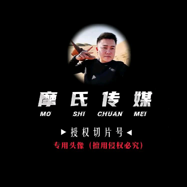达摩切片（松哥）
