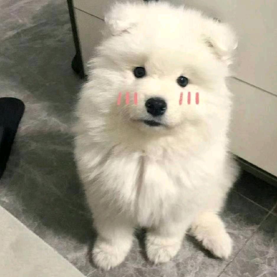 喜欢流口水