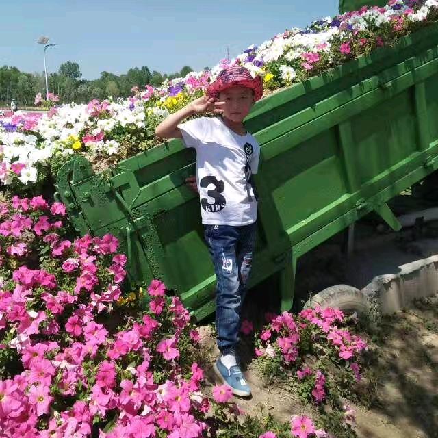 雨荷