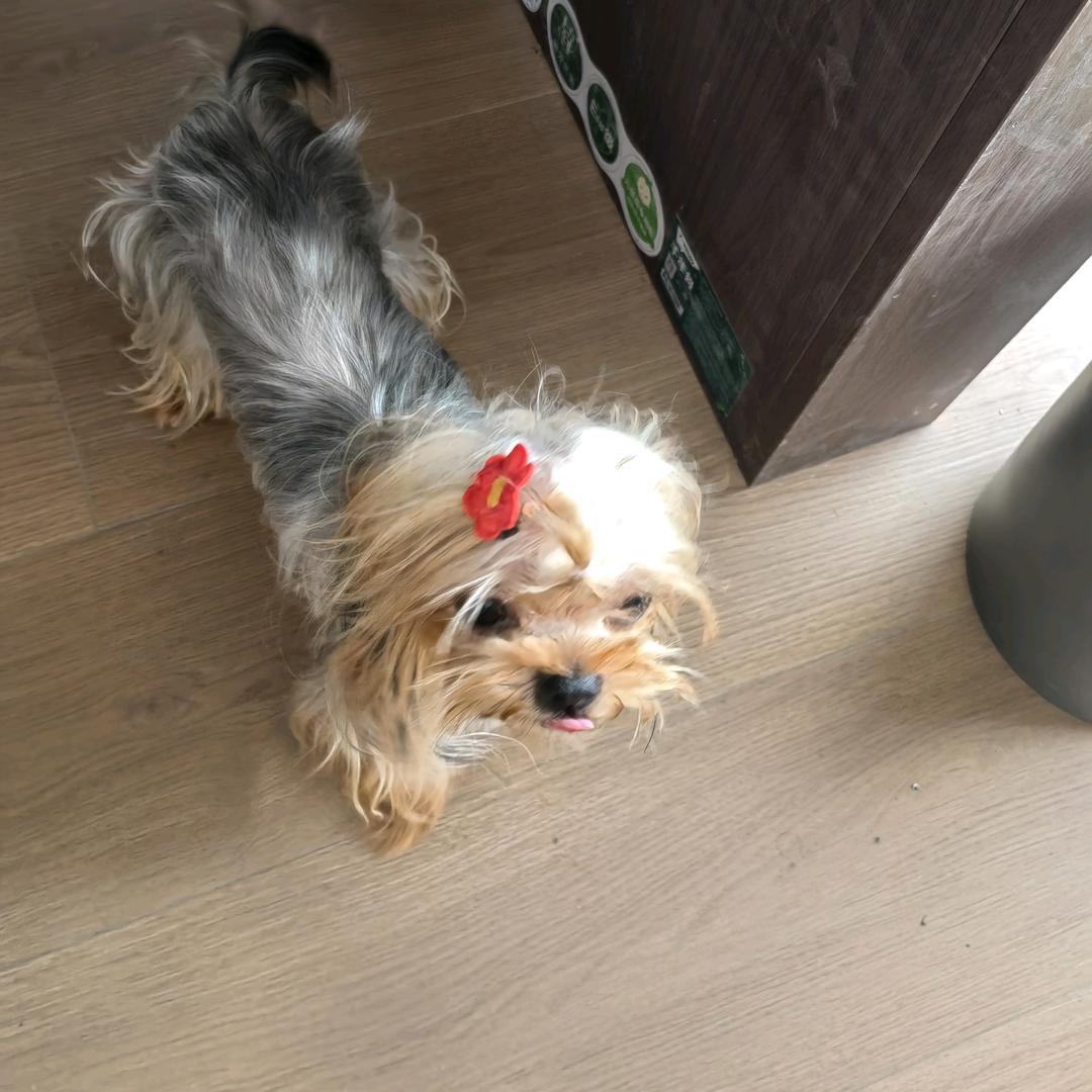 你好啊