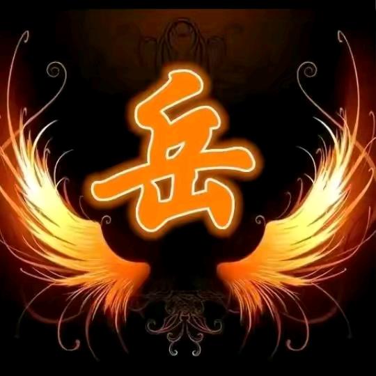 岳家将，