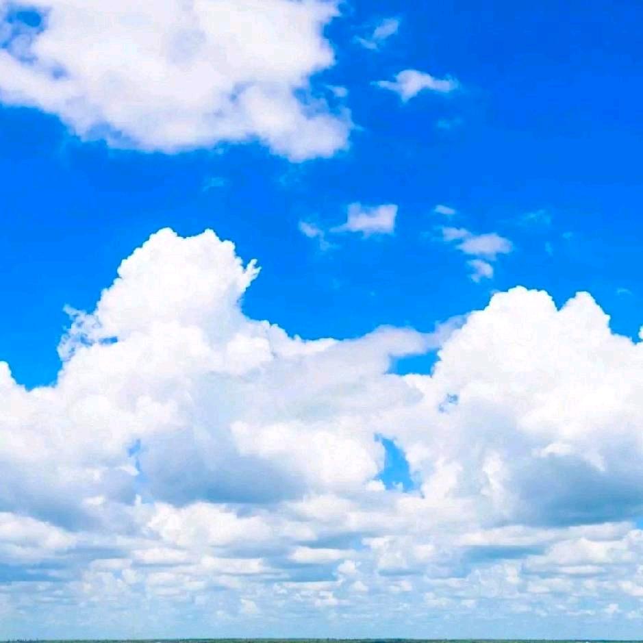 💕人间值得💕