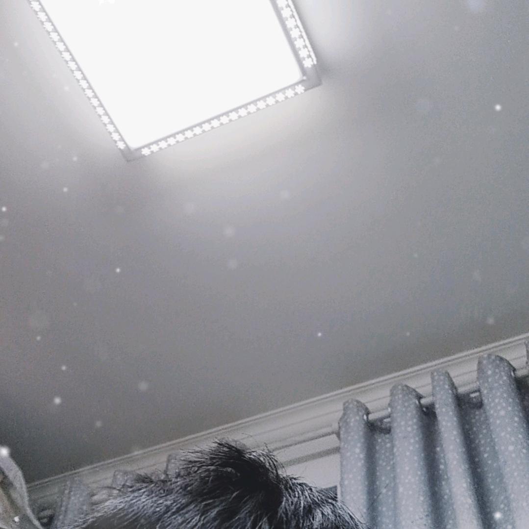 用户6102938221063