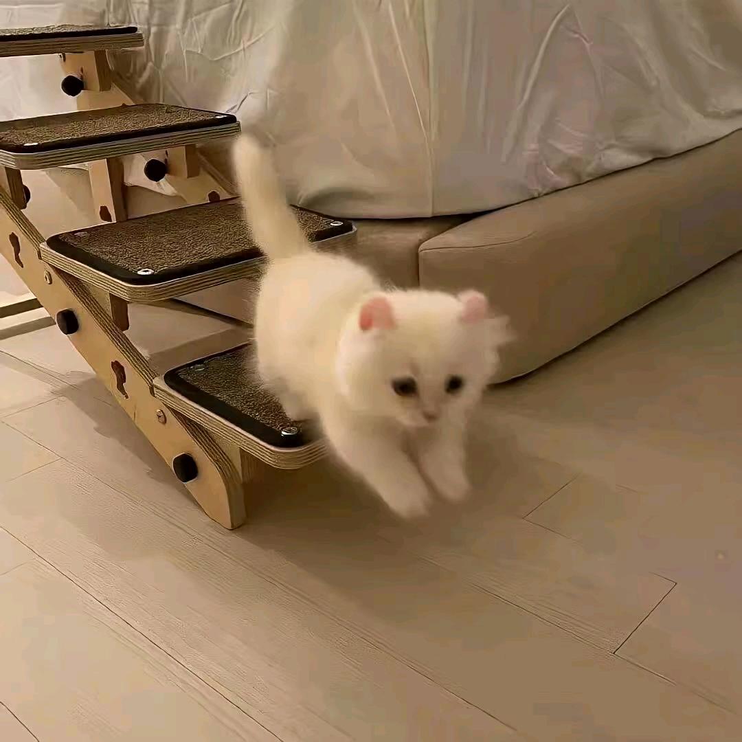 我是高手