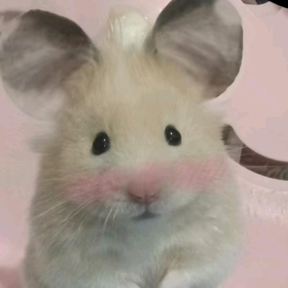 啊啊啊吧