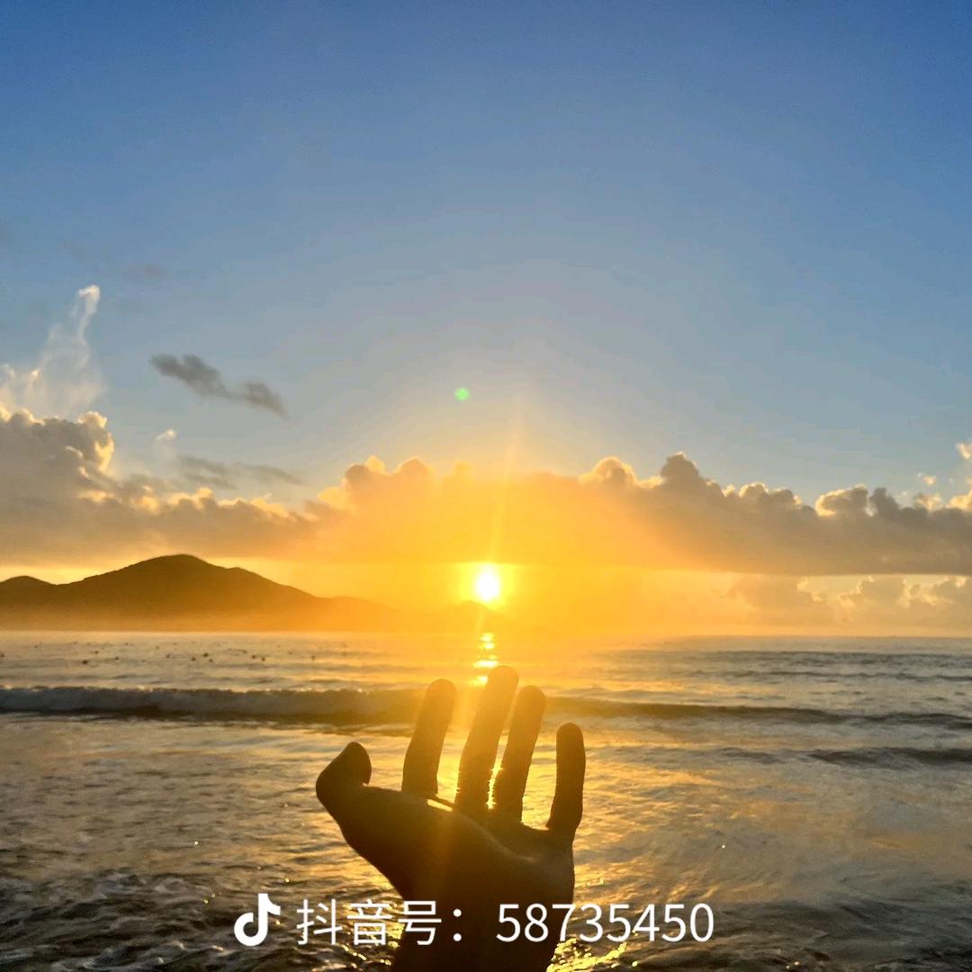 手可摘太阳☀️