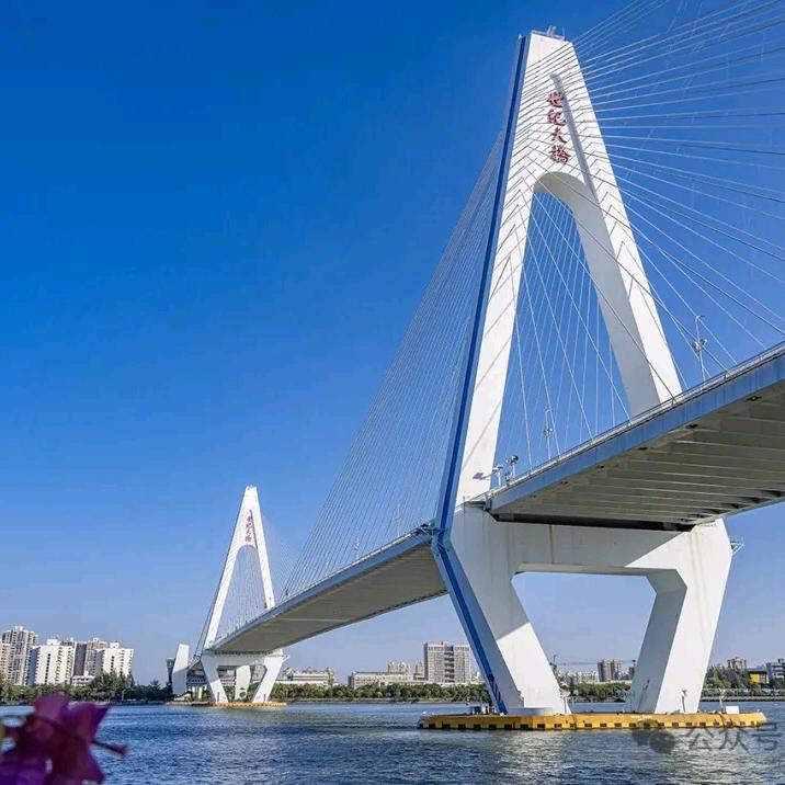 海南金融老李