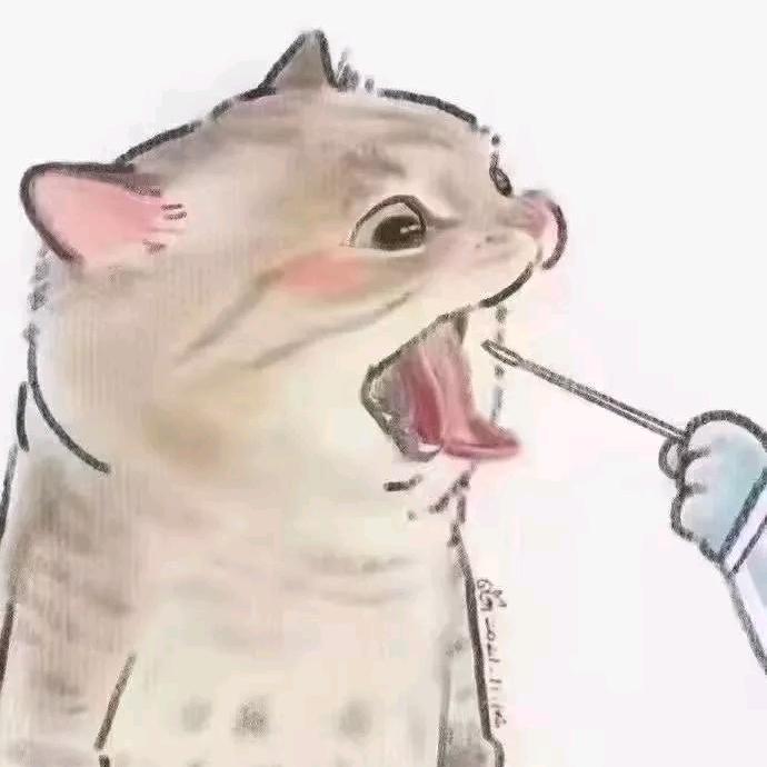 NV酸辣粉