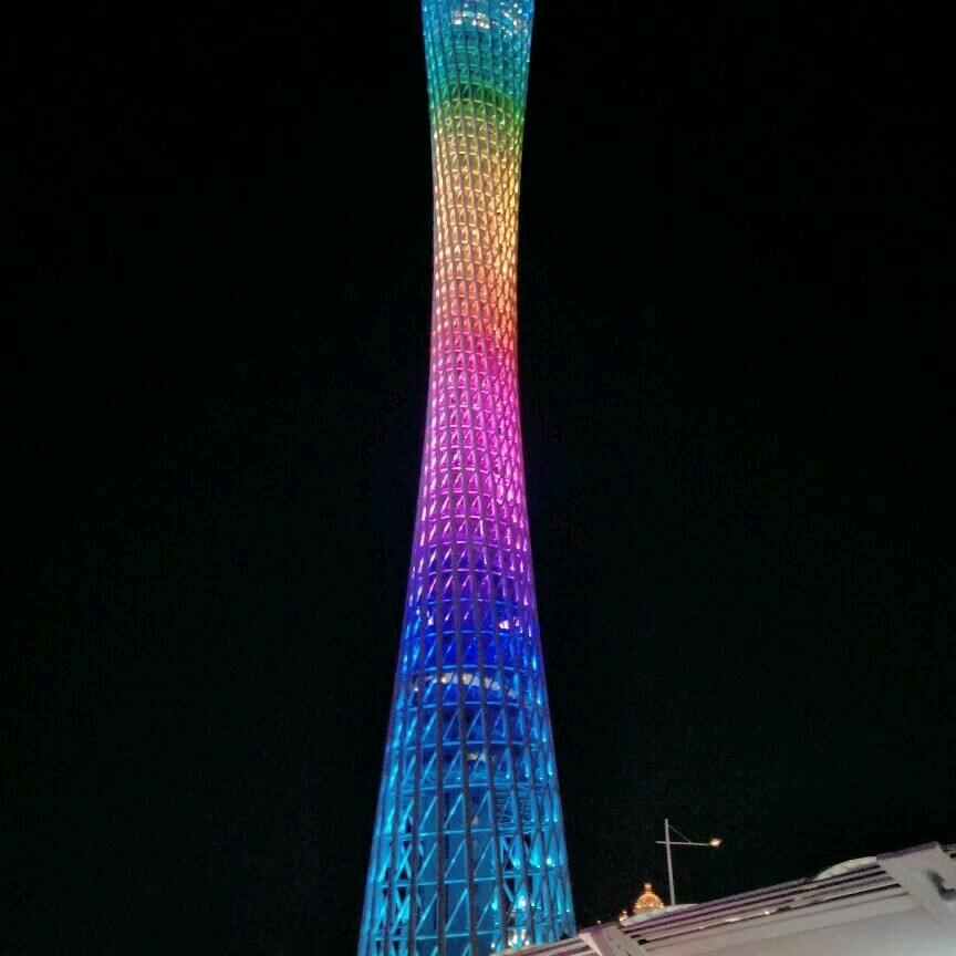孤雁南飞（橱窗好物）