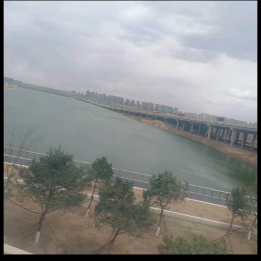 龙抬头（bao)