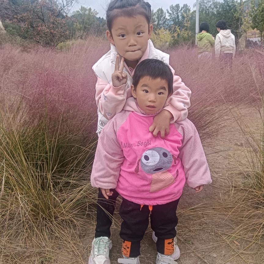 风流少年狼