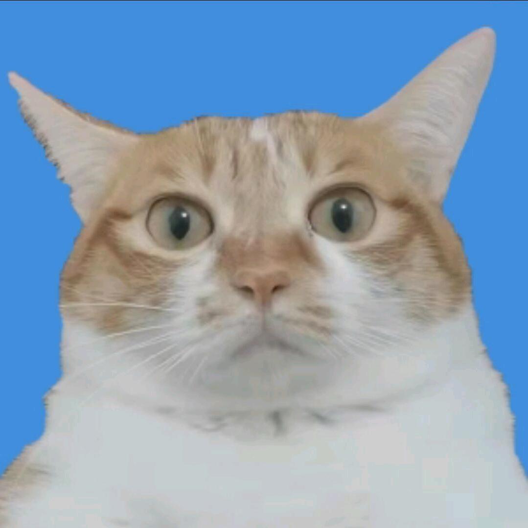 原铁代肝-猫猫头