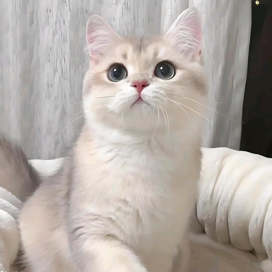 释槐.