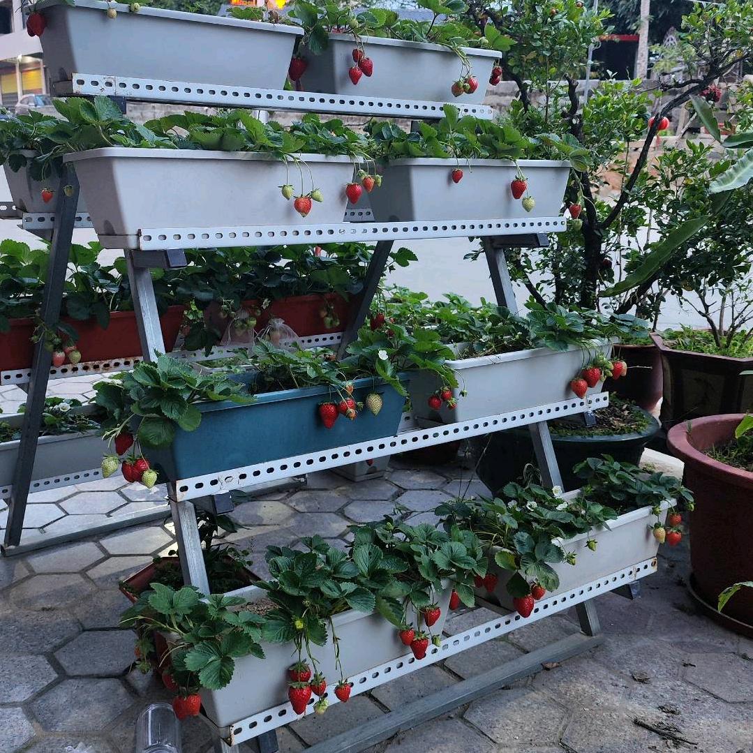 拾得几重人间烟火