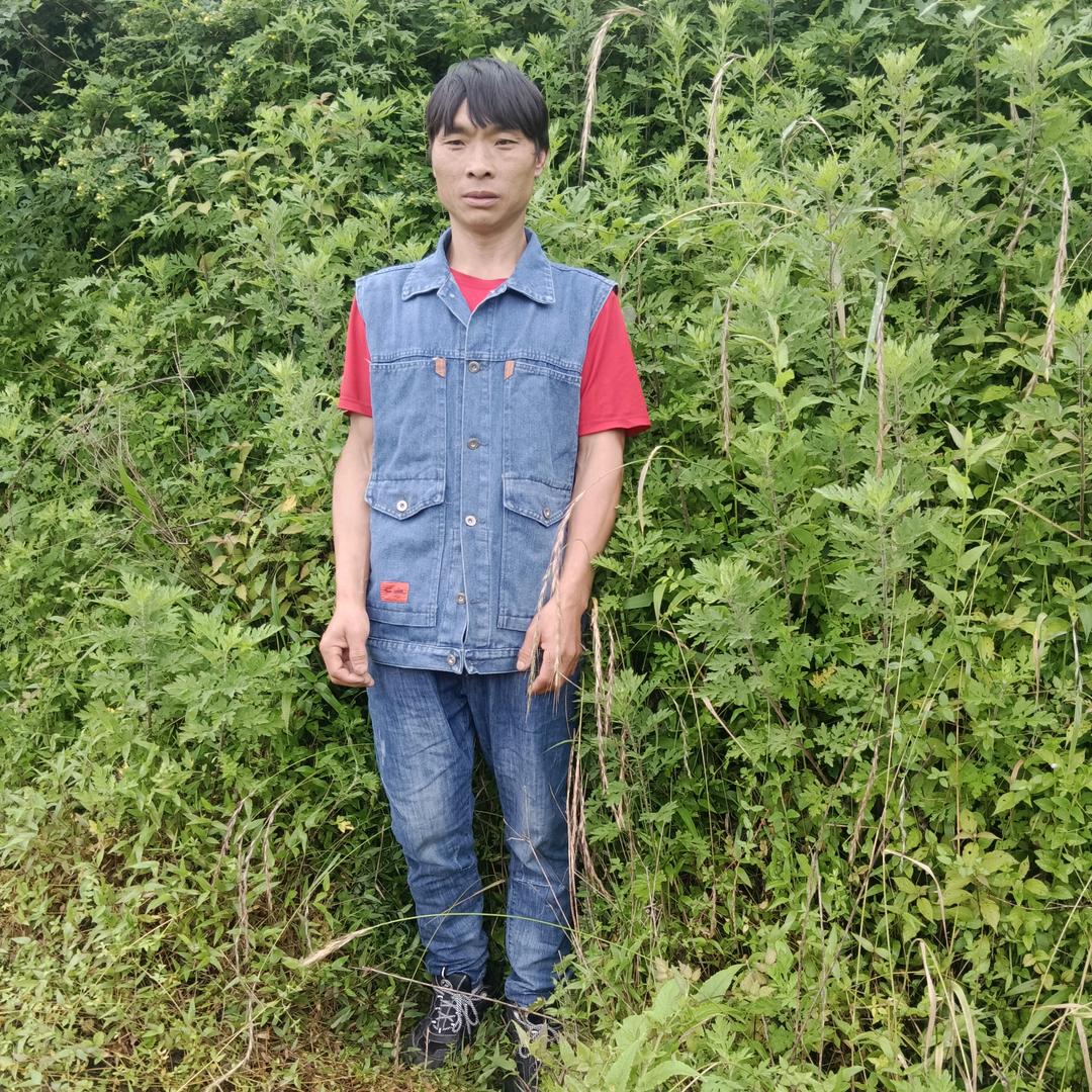 平安静康