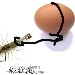 ᝰꫛ无名ಇ᭄先生࿐