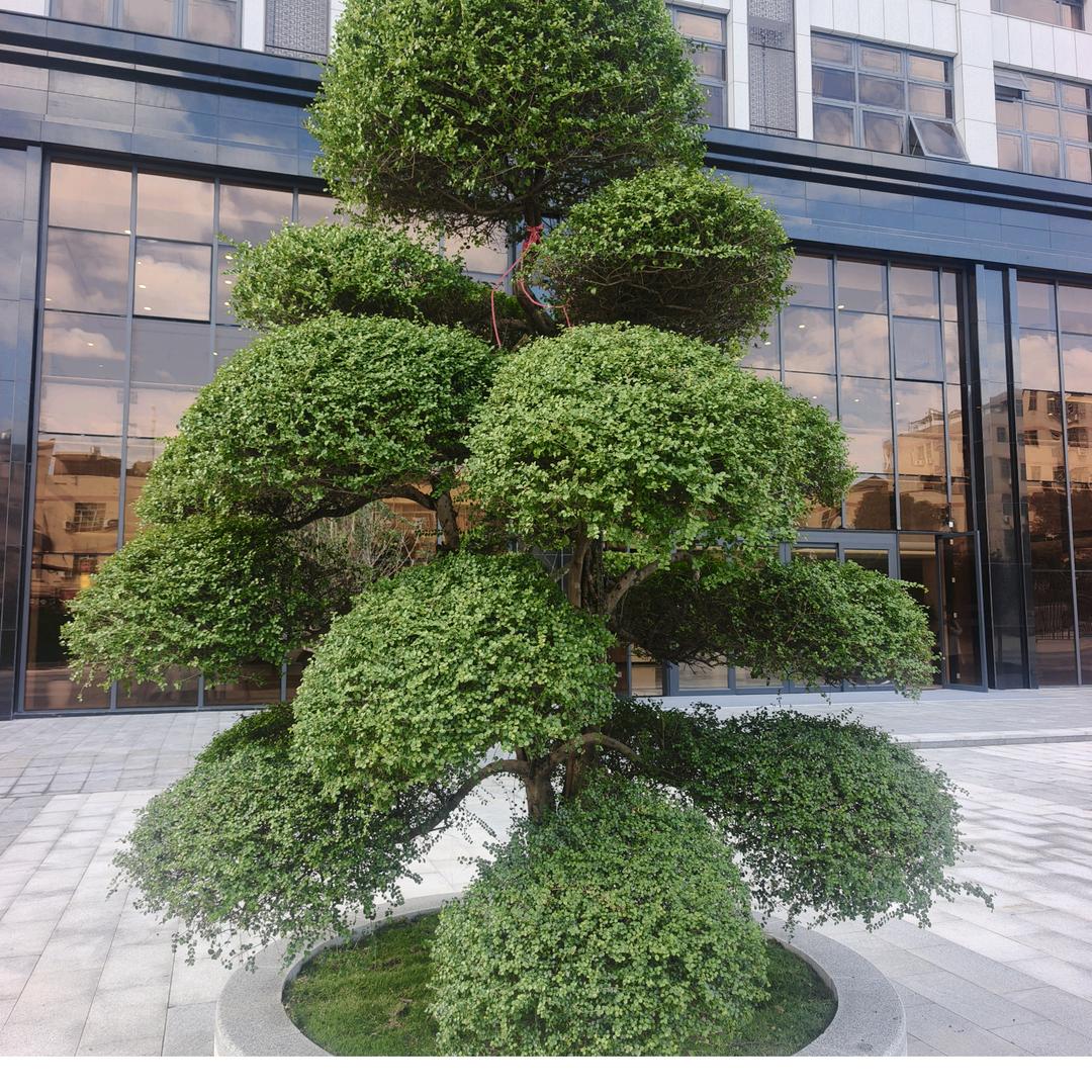 向阳而生🌻🌻