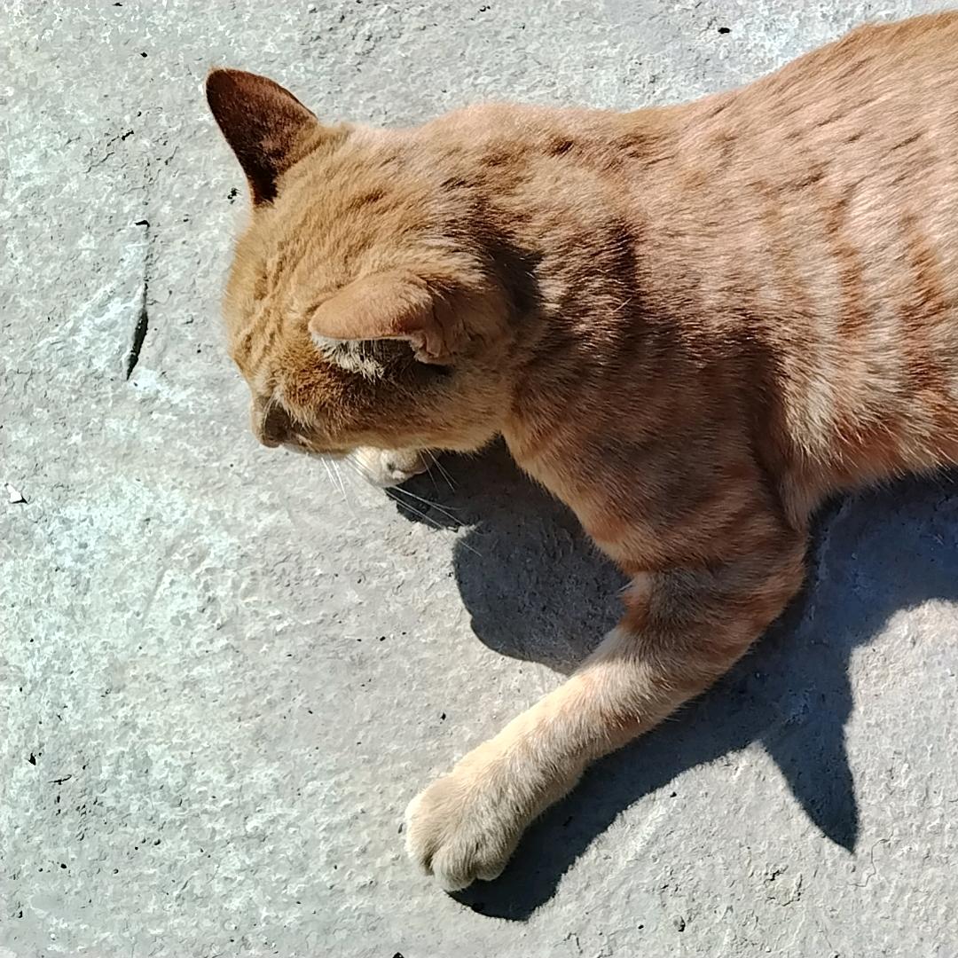 笑看人生