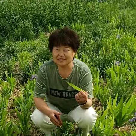 美满姐