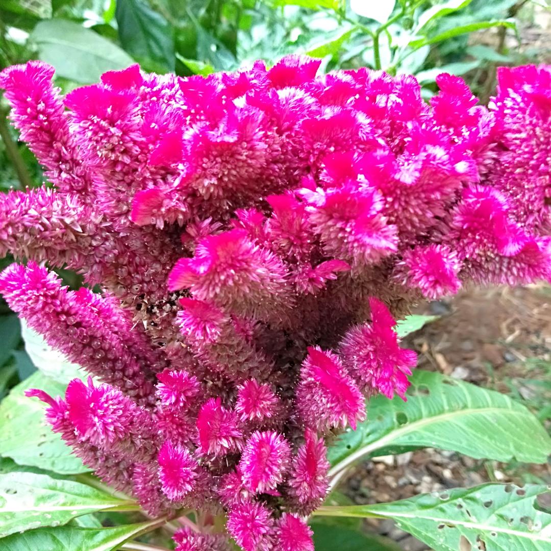 小义快乐每一天🌹🌹🌹