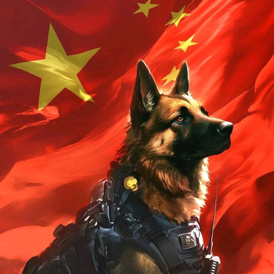 守护家园