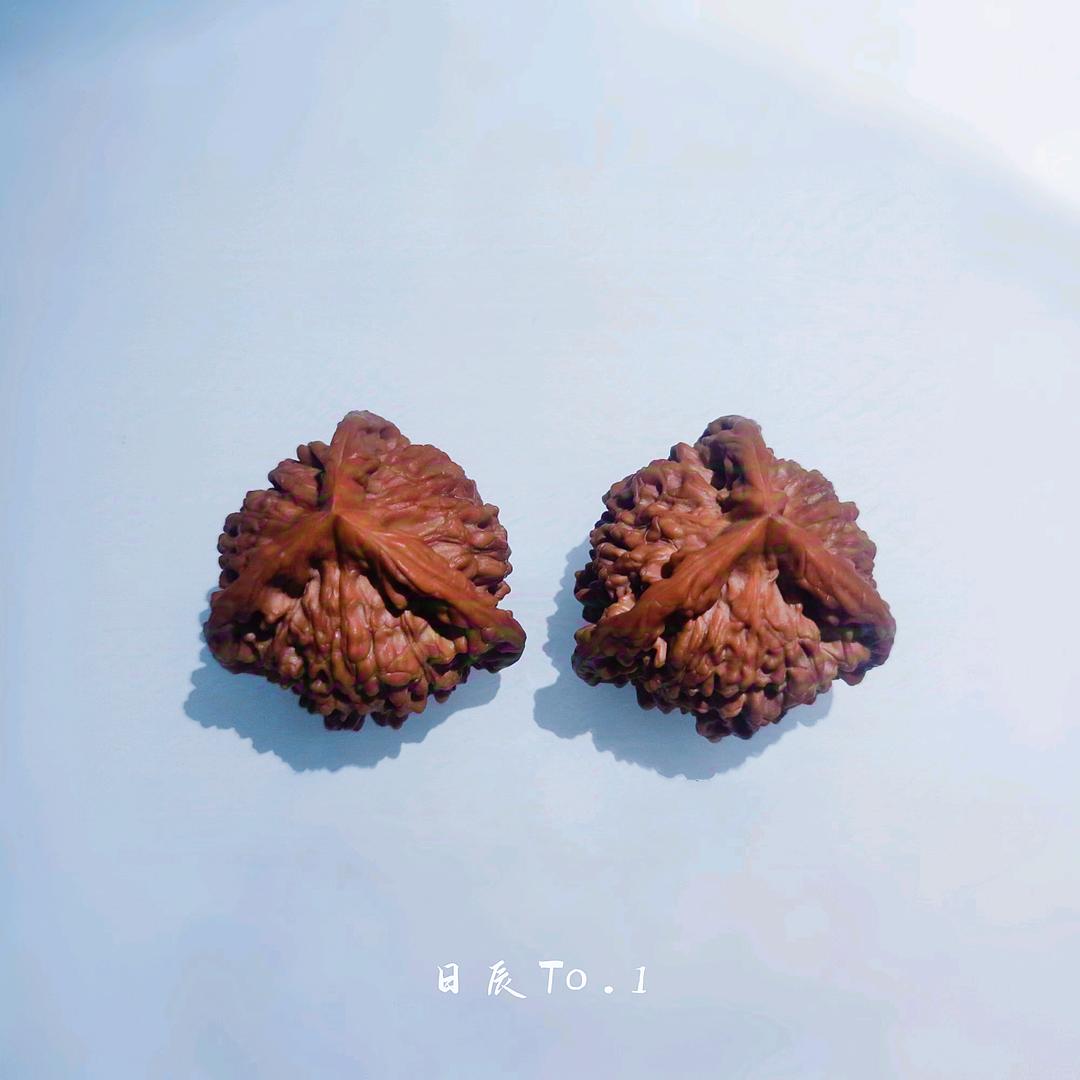 日辰To.1