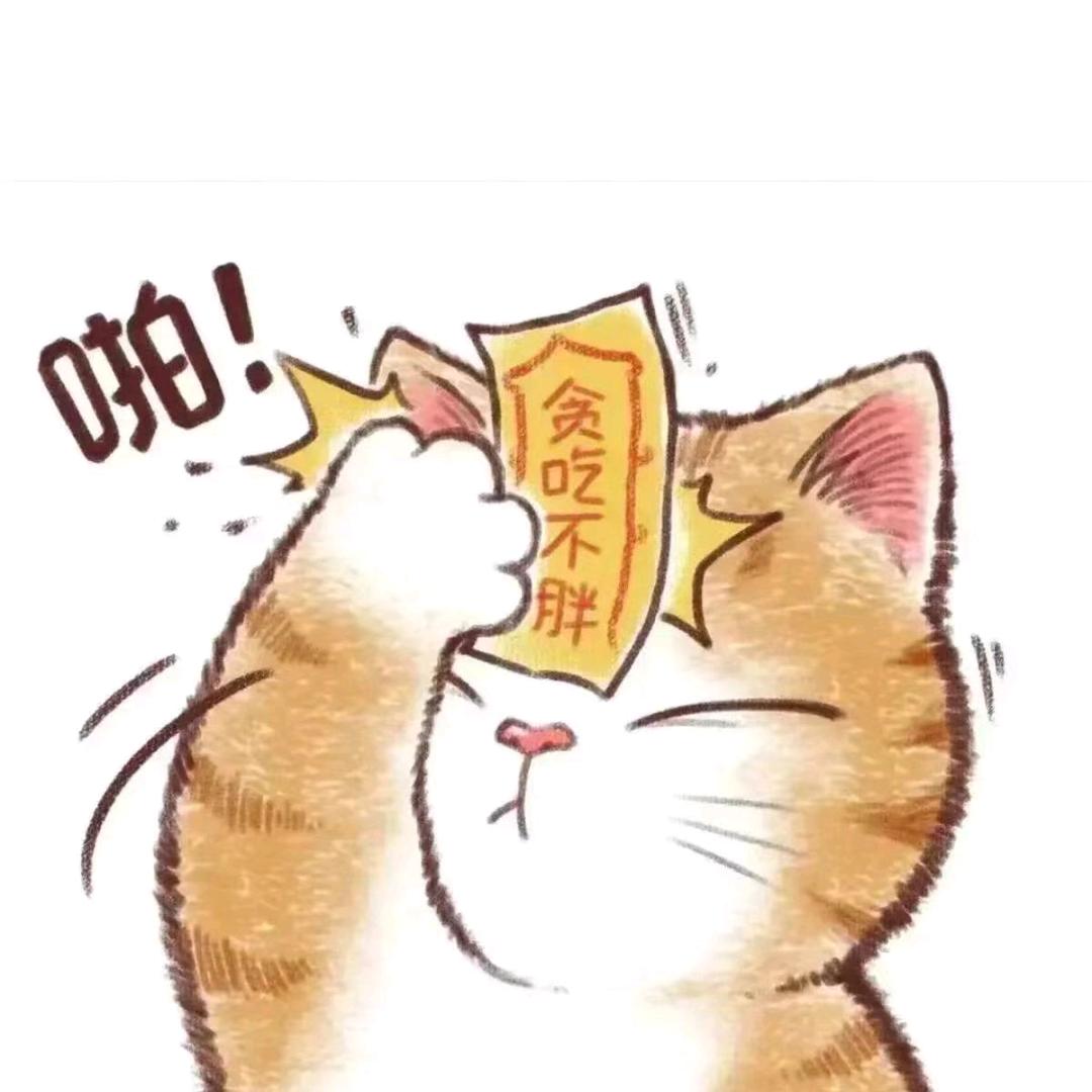 橘茶屿🐶🐯🦌